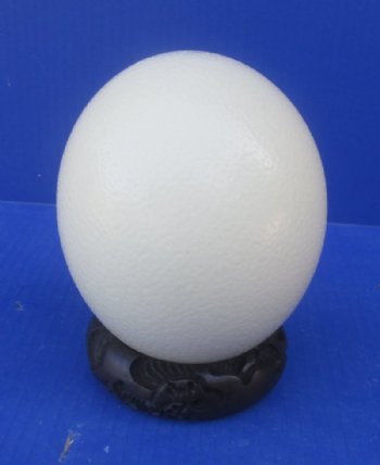 Wholesale Wooden Carved Ostrich Egg Display Stands with assorted designs (Bangle Style) - 2 pcs @ $3.90 each; 12 pcs @ $3.50 each