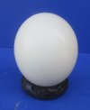 Wholesale Wooden Carved Ostrich Egg Display Stands with assorted designs (Bangle Style) - Packed 2 @ $3.90 each; Packed: 12 pcs @ $3.50 each
