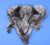 Wholesale Assorted Fox Face Pelts for sale measuring between 7x7 and 9x9 inches - You will receive one similar to the picture - Packed: 2 pcs @ $5.00 each; Packed: 12 pc @ $4.50 each