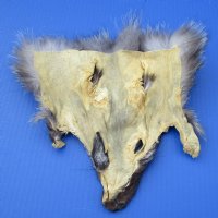 Assorted Fox Face Pelts - (2 pc, 12 pc)  