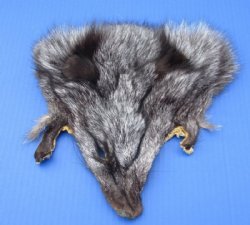 Assorted Fox Face Pelts - (2 pc, 12 pc)  