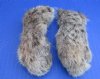 Wholesale Bobcat feet which have been cured in Borax, measuring 2-1/2 to 5 inches length - Packed: 5 pcs @ $5.75 each; Packed: 20 pcs @ $5.15 each