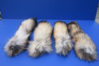 Finn Raccoon tails 13 to 16 inch (2 pc, 8 pc)