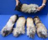 Wholesale Tanned Finn Raccoon tails with an attached ball chain for sale measuring 13 to 16 inches long.  You will receive one similar to the picture - $7.50 each; Packed: 8 pcs @ $6.50 each