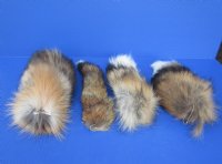 Large Red Fox tails 10 to 16 inch (2 pc, 8 pc)