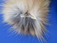 Large Red Fox tails 10 to 16 inch (2 pc, 8 pc)