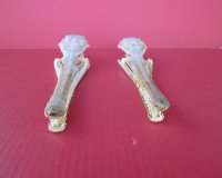 Wholesale Large Longnose gar skulls 12" and Up -  $60.00 each