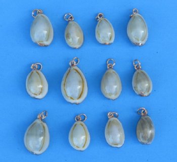 Wholesale Gold Trimmed Ring Top Cowrie Shell Pendants with copper undertone  3/4" to 7/8" - 25 pcs @ .53 each; 100 pcs @ .45 each 