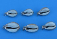 Wholesale Gold Trimmed Ring Top Cowrie Shell Pendants with copper undertone  3/4" to 7/8" - 25 pcs @ .53 each; 100 pcs @ .45 each 