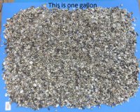 Wholesale Tiny Seashells imported from India under 1 inch - Case of 8 gallons @ $7.65 a gallon 
