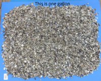 Wholesale Tiny Seashells imported from India under 1 inch - Case of 8 gallons @ $7.65 a gallon 