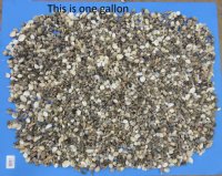 Wholesale Indian small mixed seashells 1/2" - 1-1/2"  Case of 10 gallons @ $7.90 a gallon  