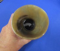 Wholesale Polished Buffalo Horn Glass measuring 6" tall  - 2 pcs @ $10.00 each; 20 pcs @ $9.00 each