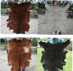 Wholesale Plain color Goat Skins, Goat Hides for sale from India - $30 each; 4 pcs @ $27 each 