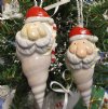 Wholesale Tibia Shell Santa ornament - Packed: 10 pcs @ $1.80; Packed: 30 pcs @ $1.60 each