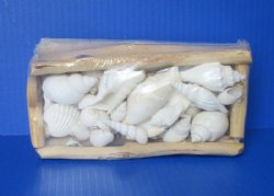 Wholesale Rectangular Driftwood gift boxes with Assorted White shells 8 by 4 inches - 12 pcs @ $4.25 each