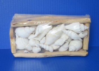Wholesale Rectangular Driftwood gift boxes with Assorted White shells 8 by 4 inches - 3 pcs @ $4.75 each