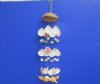 Wholesale 20 inch long Coconut Top with 6 strands of Seashells Windchime - Packed: 5 pcs @ $3.75 each