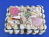 Large 2 Pecten shell design in assorted colors rectangle shell Jewelry Box Wholesale 8 inches long by 6 inches wide covered in real seashells - Packed: 2 pcs @ $10.65 each; Packed: 6 pcs @ $9.59 each