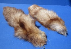 Dyed Crystal Fox tail 16 to 18 inch (2 pc, 8 pc)