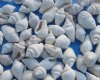 Wholesale Tiny Off White (nassa) nassarius snail shells for crafts - Case of 20 kilos @ $5.40 a kilo ($108 a case)