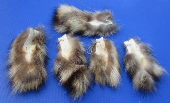 Wholesale small tanned raccoon tails 5 to 7 inches long. -  5 pcs @ $3.00 each;  25 pcs @ $2.70 each