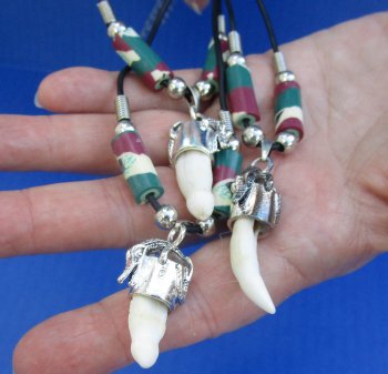 Three Alligator Tooth Necklace 1/2 to 1-1/2 inch