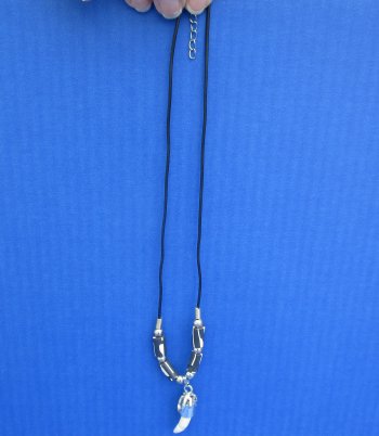 Three Alligator Tooth Necklaces 1/2 to 1-1/2 inch
