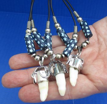 Three Alligator Tooth Necklaces 1/2 to 1-1/2 inch