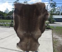 Good Quality Wholesale Reindeer Hide, Reindeer Skin, Without Legs for $85.00 each 