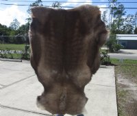 Reindeer Skin, Reindeer Hide Without Legs (1 pc)