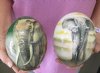 Wholesale 3D Elephant Decoupage Ostrich Eggs imported from South Africa - 5 inches to 6 inches (stands sold separately) - $39.00 each (You will receive one of the 2 designs pictured)