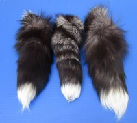 Wholesale Tanned Silver Fox tails 15 to 18 inches long - 2 pcs @ $8.50 each;  8 pcs @ $7.75 each