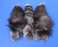 Wholesale Tanned Silver Fox tails 15 to 18 inches long - 2 pcs @ $8.50 each;  8 pcs @ $7.75 each