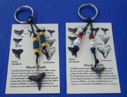 Wholesale Key ring with assorted fossil shark tooth and assorted beads - 12 pcs @ $2.15 each; 48 pcs @ $1.95 each