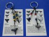 Wholesale Key ring with assorted fossil shark tooth and assorted beads with Fossil tooth identification card - Packed: 12 pcs @ $2.15 each; Packed: 48 pcs @ $1.95 each