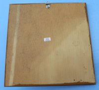 8" x 8" Wood framed lambis spider conch shell - 12 pcs @ $2.10 each  