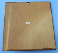 8" x 8" Wood framed lambis spider conch shell - 3 pcs @ $2.50 each 