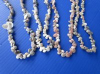 26 to 30 inches shell leis wholesale made out of Assorted Umboniums - 12 pcs @ $.55 each