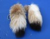 Wholesale Tanned Canadian Lynx tails with an attached ball chain for sale measuring 3-1/2 to 4-1/2 inches long.  You will receive one similar to the picture - Packed: 2 pcs @ $8.50 each; Packed: 8 pcs @ $7.75 each