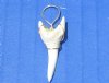 Wholesale Mako Tooth Pendent wrapped with a nickel and lead free tarnish resistant gold color wire 1-1/8 inch - Packed: 5 pcs @ $2.80 each; Packed: 20 pcs @ $2.50 each