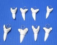 1-7/8 inch Mako Tooth Pendent wrapped with gold color wire (2 pcs)