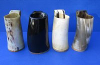 Wholesale Polished buffalo horn mug with wood base/bottom 6 inches tall. $22.00 each; 6 pcs @ $19.50 each 