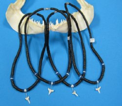 Shark Tooth Necklaces with Black Coconut Beads 18 inches - $36.00 dozen; 5 dozen @ $32.40 dozen