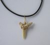 Wholesale Assorted light colored fossil shark tooth on 18" black cord necklace. Pack of 6 pcs @ $2.00 each; Packed: 25 pcs @ $1.65 each