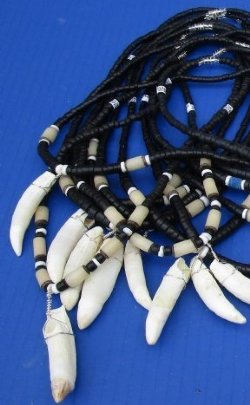 Wholesale Alligator tooth necklace 2 to 2-3/8 inch wrapped with silver colored wire on coconut bead necklace -  2 pcs @ $7.00 each, 10 pcs @ $6.25 each 