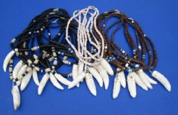 Wholesale Alligator tooth necklace 2 to 2-3/8 inch wrapped with silver colored wire on coconut bead necklace -  2 pcs @ $7.00 each, 10 pcs @ $6.25 each 