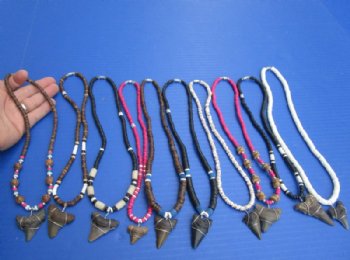 Wholesale Megalodon Shark tooth necklace 1 to 2 inch wrapped with silver colored wire on an assorted color necklace -  2 pcs @ $19.00 each; 8 pcs @ $17.00 each