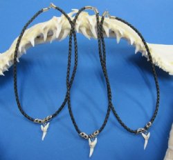 Wholesale Shark Tooth Necklaces with 1-1/8 inch Mako Shark Tooth and Silver Beads 18 inches - 12 pcs @ $3.75 each; 48 pcs @ $3.35 each