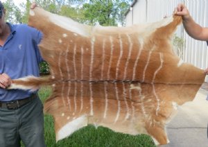 Discount Animal Hides, Skins Hand Picked
